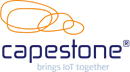 Kapstein-Logo.png