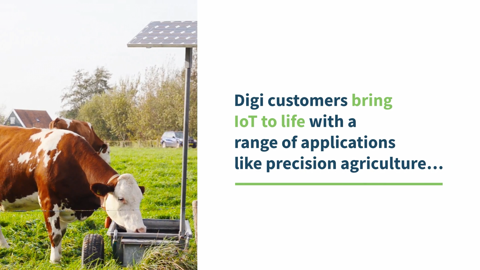 Überwachung landwirtschaftlicher Futtermittelbehälter