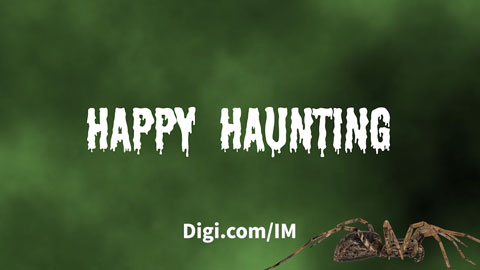 Der Schrecken der IT-Dämonen - Ein Digi-Halloween-Special