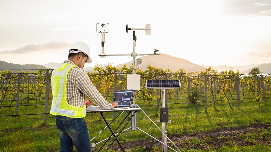 Sensoren zur Umweltüberwachung in einem Weinberg