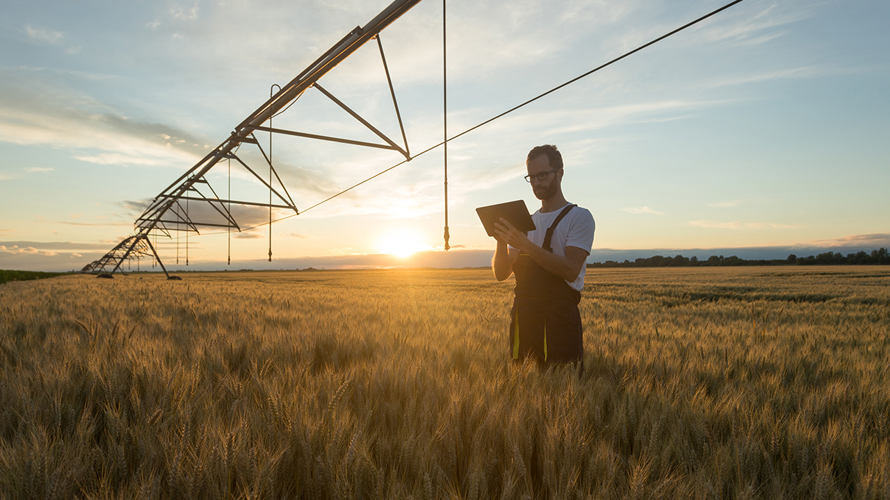 Überwachung der landwirtschaftlichen Bewässerung