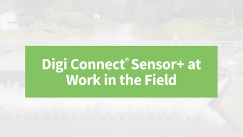 Digi Connect Sensor+ bei der Arbeit im Feld
