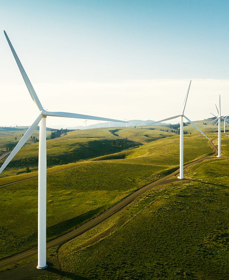 Windturbinen auf sanften grünen Hügeln unter einem klaren Himmel.